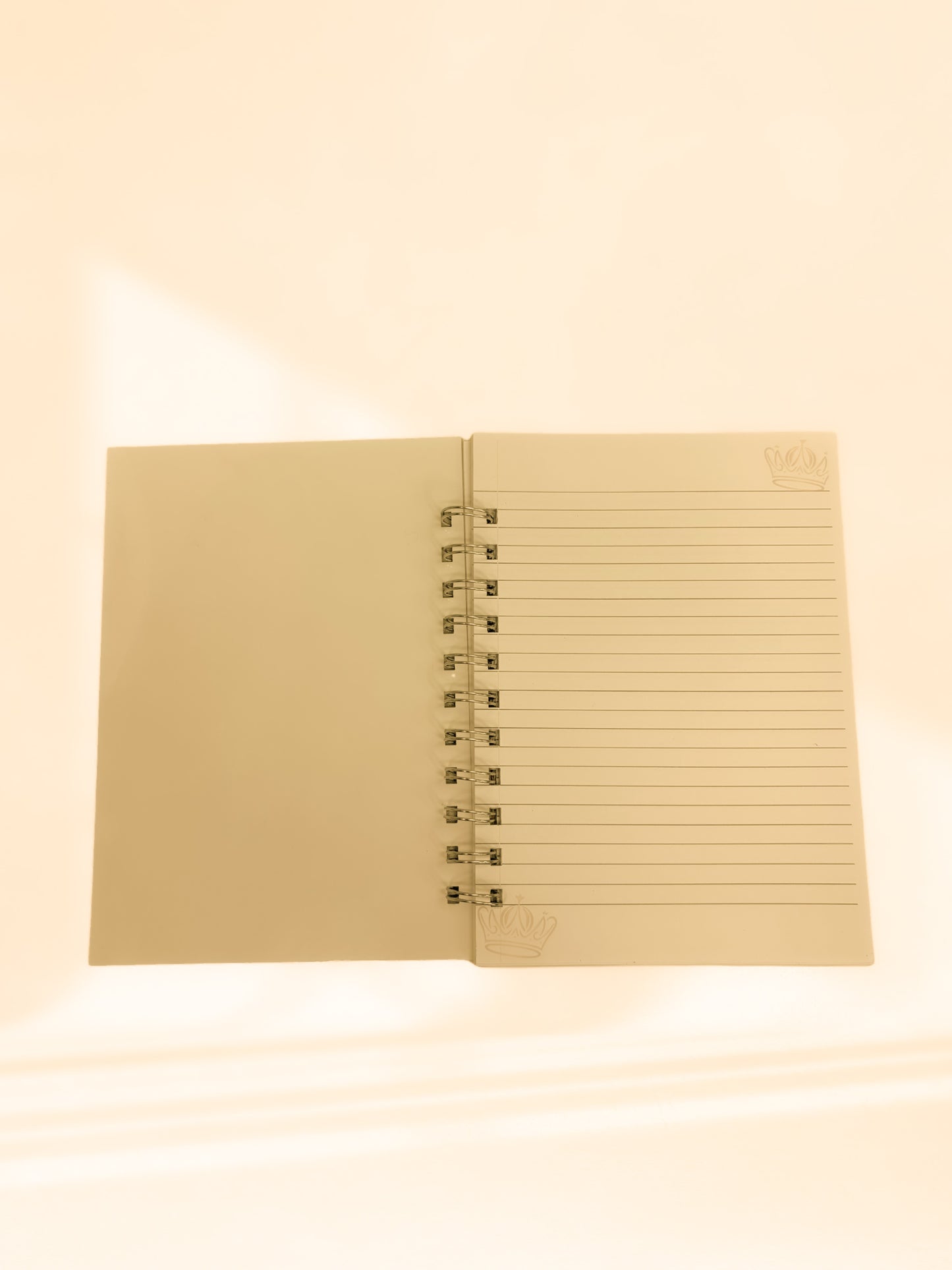 Boss Lady Notebook